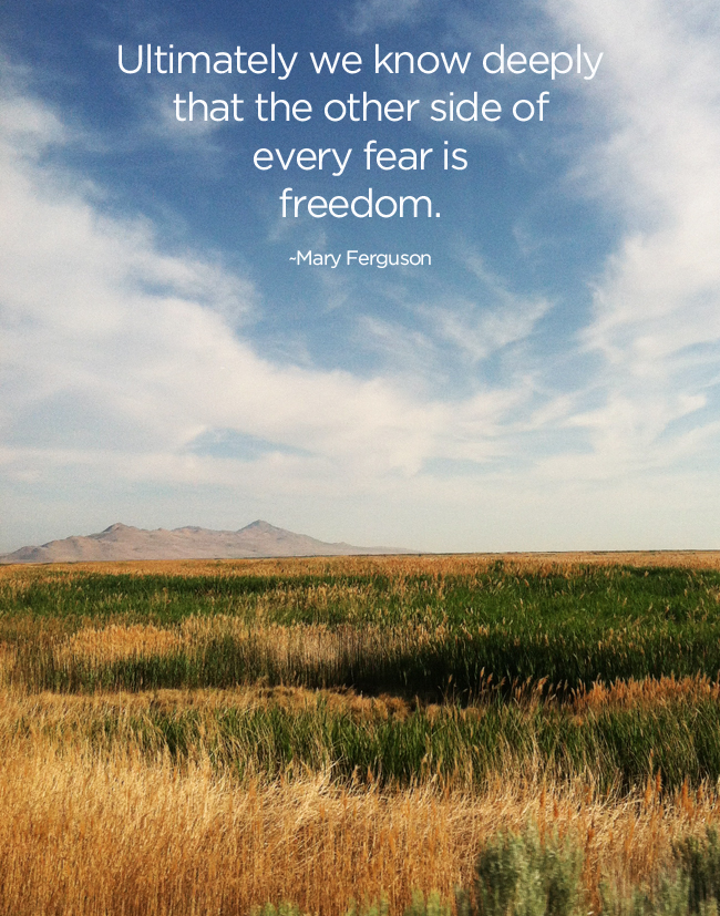 Fear Free Change