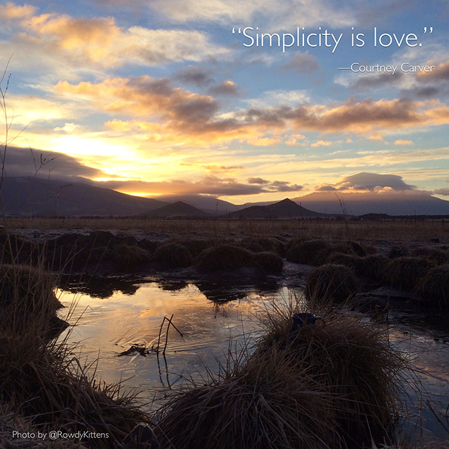 simplicity quotes